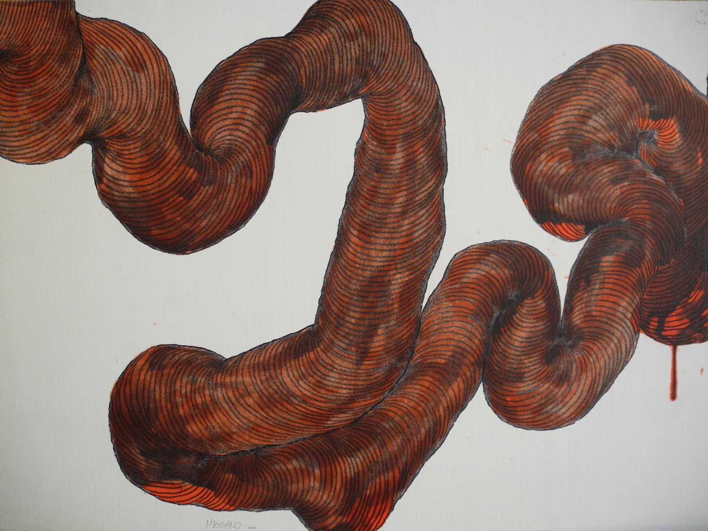 Série “Les boyaux”-2014 – José Manuel Massano . Artist Plasticien